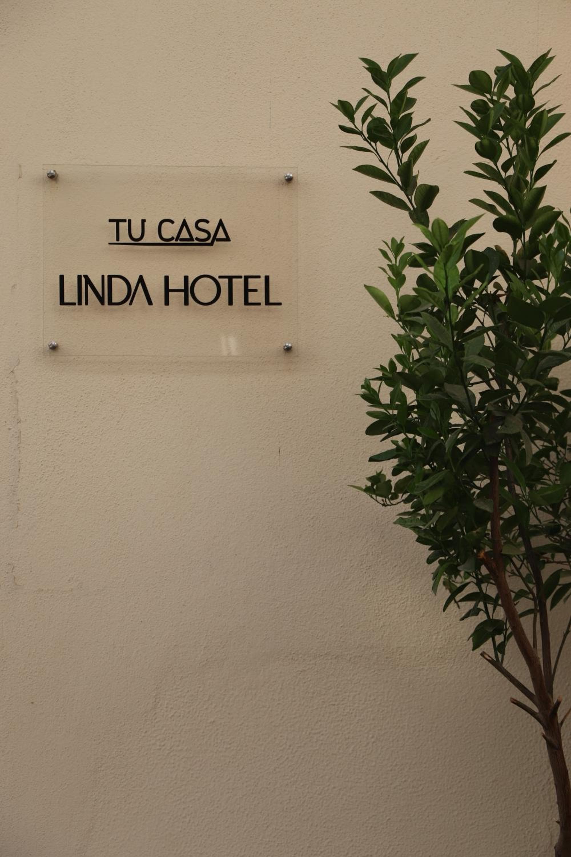 Tu Casa Linda 4