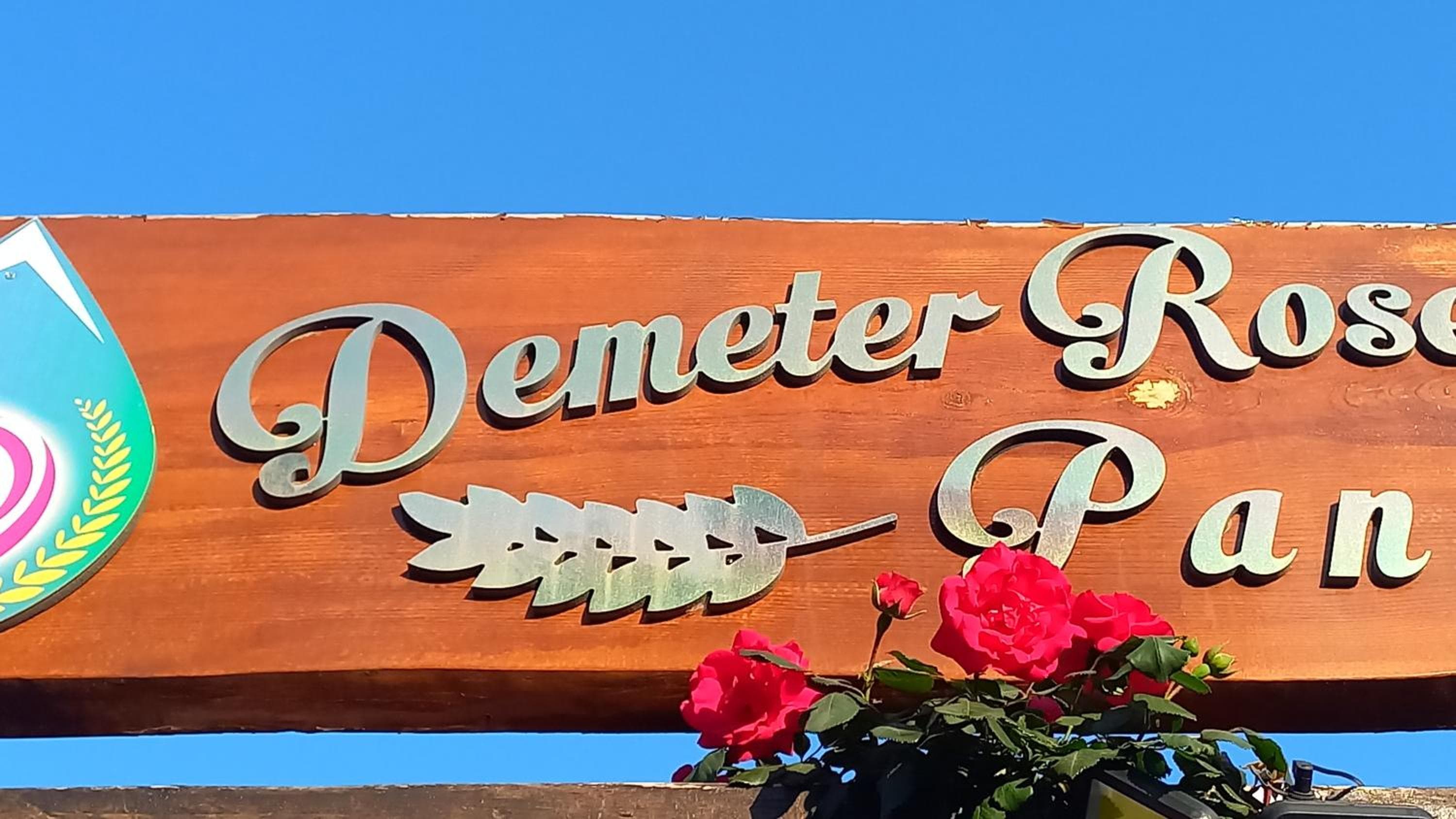 Demeter Rose Stonehouse Pansion 3
